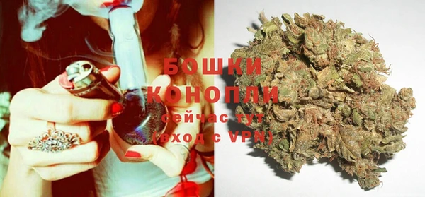 бошки Бородино