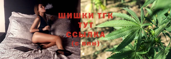 бошки Верхний Тагил