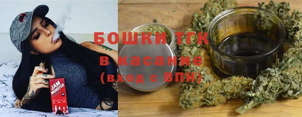 бошки Бородино